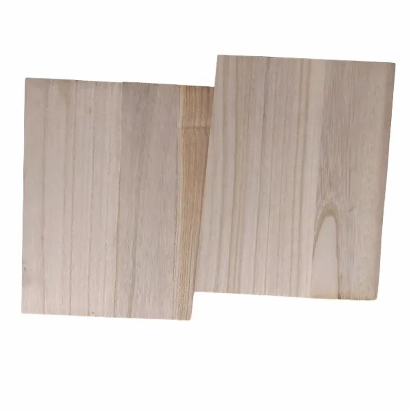 IMG20210520104750-Photoroompng-Photoroom001 IMG20210520104750-Photoroompng-Photoroom001